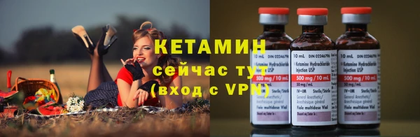 стаф Володарск
