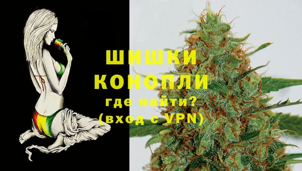 стаф Володарск