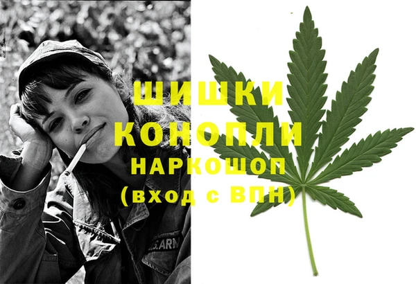 стаф Володарск